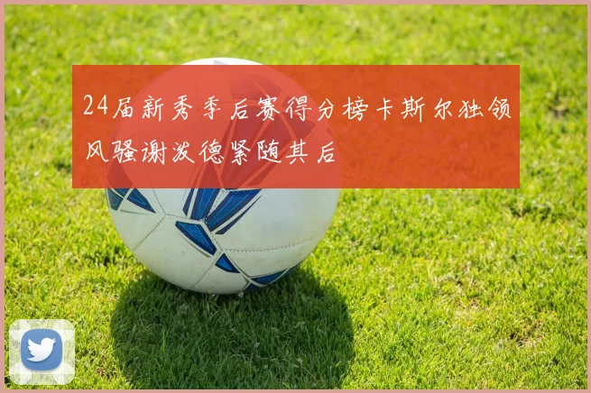 24届新秀季后赛得分榜卡斯尔独领风骚谢泼德紧随其后