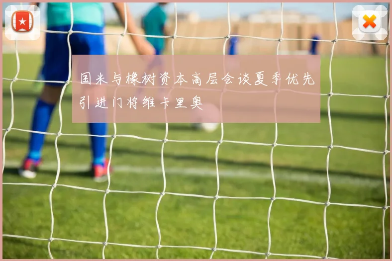 国米与橡树资本高层会谈夏季优先引进门将维卡里奥