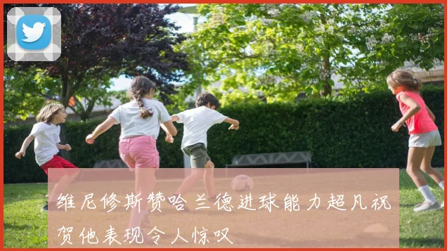 维尼修斯赞哈兰德进球能力超凡祝贺他表现令人惊叹
